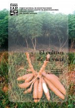 cultivo yuca