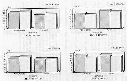 Figura 3.Comportamiento de la variedad V74-7 en dos localidades y dos �pocas de cosecha.