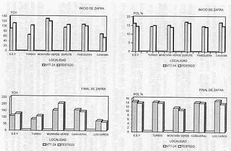 Figura 5. Comportamiento de la variedad V77-24 en diferentes localidades y dos �pocas de cosecha.