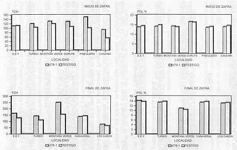 Figura 6. Comportamiento de la variedad V78-1 en diferentes localidades y dos �pocas de cosecha.
