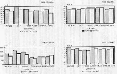 Figura 13. Comportamiento de la variedad C371-67 en diferentes localidades y dos �pocas de cosecha.