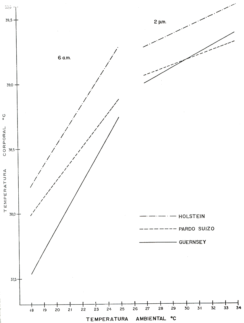 Graf. 2 - Efecto rectilineo de la temperatura ambiental, ma�ana y tarde. Sobre la temperatura corporal de las vacas.