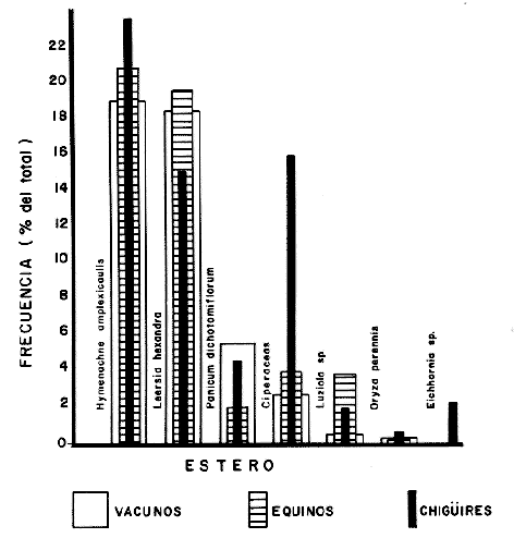 FIGURA 3. HISTOGRAMA DE FRECUENCIA PARA EL ESTERO