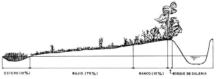 FIGURA 4. PROPORCION DE LAS DIFERENTES UNIDADES FISIOGRAFICAS EN EL SISTEMA .