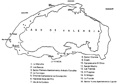 Figura 1. Localizaci�n geogr�fica de las siembras de naranja en la cuenca del lago de Valencia.