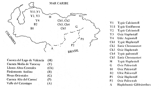 Fig. 1. Denominacin de los suelos, clasificacin taxonmica y situacin relativa de los suelos seleccionados.