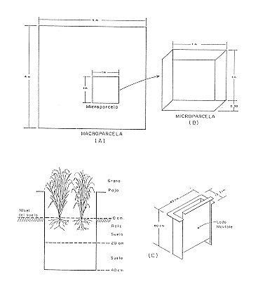 Fig. 1. Esquema de la macroparcela (A), microparcela (B) y tomamuestra de suelos y plantas (C).