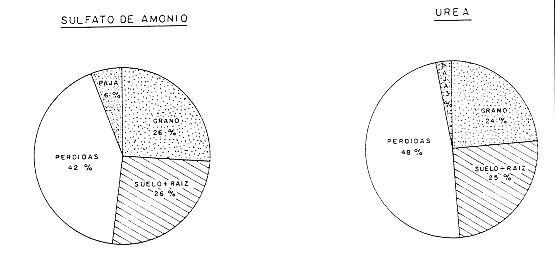 Fig. 2. Balance de nitr�geno en arroz bajo riego complemantario (Experimento 1) utilizando sulfato de amonio y urea marcados con 15N (las cifras se refieren al porcentaje de N aplicado)