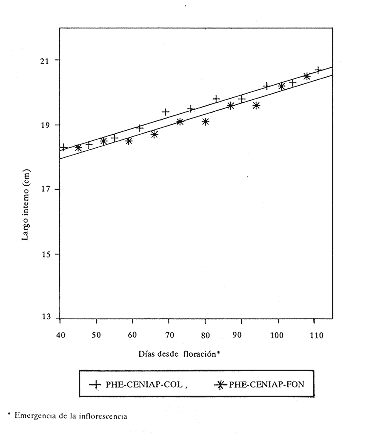 Fig. 4.Rectas de regresi�n para largo interno vs d�as, per�odo desde los 40 d�as del fruto de `PHE-CENIAP-COL' y `PHE-CENIAP-FON'. Segunda mano.