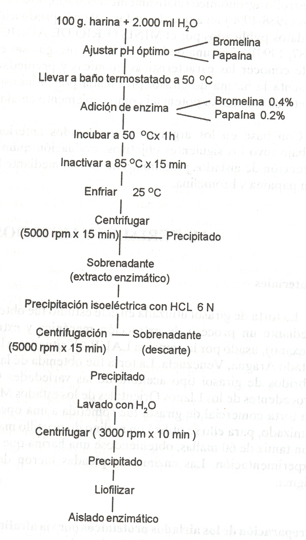 FIGURA 1. Preparac�n de os aislados enzim�ticos a partir de la hidr�lisis de a harina de girasol con bromelia o papaina.