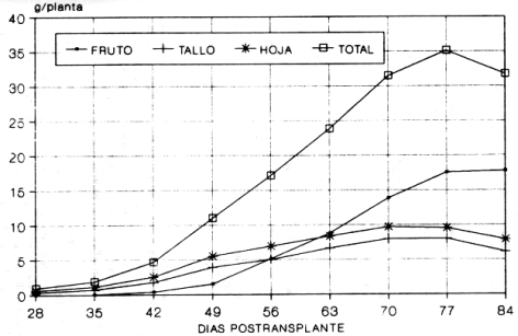 FIGURA 2. Acumulacin de materia seca en los diferentes rganos de las plantas en funcin de la edad.