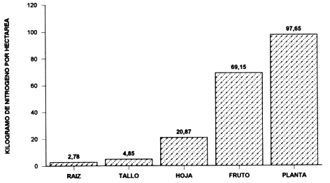 FIGURA 3. Extraccin de nitrgeno en los diferentes rganos de la planta.