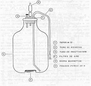 FIGURA 4.  Frasco de inactivacin