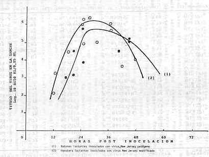 FIGURA 1.  Ttulos y curvas de viremia en hamters y ratones lactantes inoculados con virus New Jersey