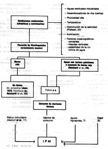 FIGURA 2.  Posibles factores asociados con la ocurrencia de la IPM