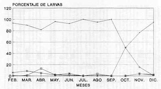 FIGURA 2. Distribucin porcentual de larvas de estrongiloideos en vacas >de 7 aos.