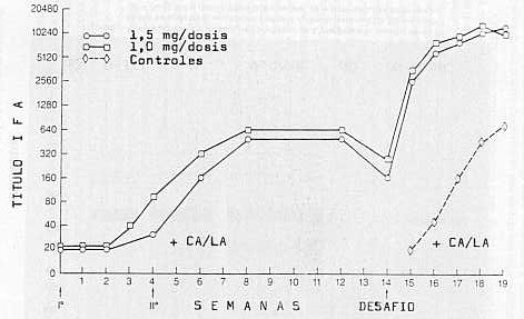 FIGURA7. Respuesta de anticuerpos IFA, CA y LA despus de la vacunacin y desafi, en bovinos vacunados con inmungeno purificado de A. marginale y bovinos controles