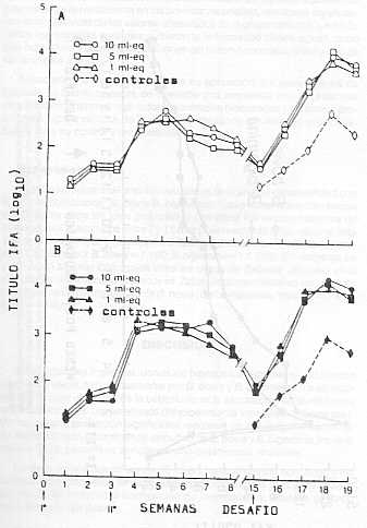 FIGURA 1. Ttulos promedios de anti-B.bovis (A) y anti-B.bigemina(B) en bovinos vacunados con  diferentes dosis de inmungeno combinado y  desafiados con organismos virulentos de cada especie de Babesia (cepas homlogas)