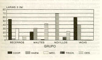 FIGURA 2. Conformacin de la carga parasitaria mediante coprocultivos, en bovinos de Finca 4. Estado Bolvar (noviembre, 1990).