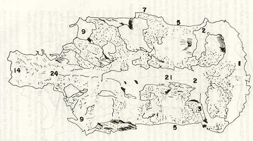 FIGURA 9. Vista ventral del Neurocrneo volador (Lebiasina erythrinoides).