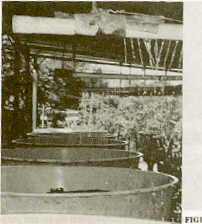 FIGURA 3. tanques de fibra de vidrio utilizados en los ensayos