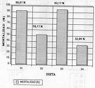 FIGURA 9. Mortalidad de alevines de trucha en porcentaje con las diferentes dietas suministradas a los 90 das.