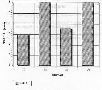 FIGURA 10. Incremento total en talla promedio de alevines de trucha con las diferentes dietas a los 90 das