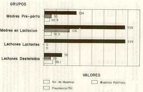 FIGURA 2. Prevalencia especifica de Eimeria spp. por grupo etario.