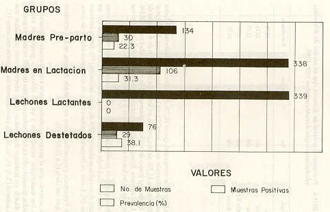 FIGURA 2. Prevalencia especifica de Eimeria spp. por grupo etario.