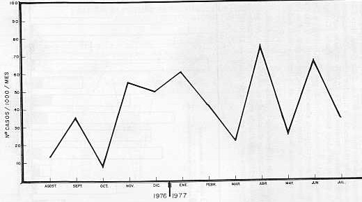 GRAFICO II.   Prevalencia de Distomatosis heptica en bovinos sacrificados por mes, en el matadero de El Moja - Edo. Zulia. (Agosto 1976 - Julio 1977)
