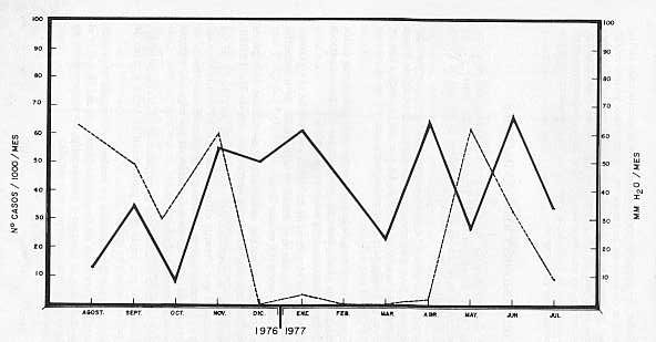 GRAFICO V.   Prevalencia de Distomatosis Heptica bovina en el Matadero Industrial de El Mojan. (Dtto. Mara) y niveles pluviomtricos de la zona afectada por mes * (Agosto 1976 - Julio 1977)