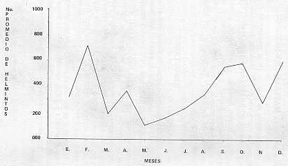 FIGURA 1. Fluctuacin anual del Haemonchus contortus en muestras de caprinos recolectadas en el periodo Enero - Diciembre 1975.