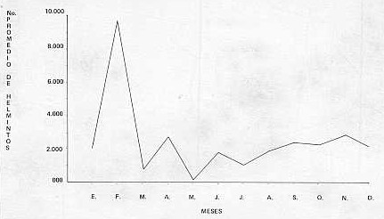 FIGURA 2. Fluctuacin anual del Trichostrongylus vitrinus en muestras de caprinos recolectadas en el periodo Enero - Diciembre 1975.
