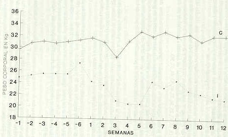 FIGURA 2. Pesos promedios semanales de las ovejas inoculadas experimentalmente (I) con T. vivax vs los controles (C), durante los perodos de pre y postinfeccin.