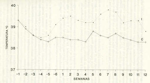 FIGURA 1. Promedios semanales de temperatura corporal (C) en ovejas infectadas (I)  experimentalmente con T. vivax vs controles (C), durante los perodos de pre y postinfeccin.