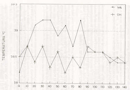 FIGURA 1. Promedio de la temperatura corporal en las hembras inoculadas y controles durante el perodo de post - infeccin.