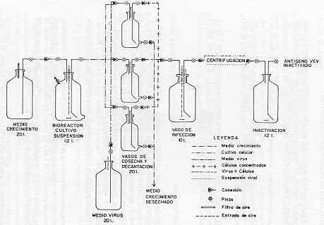 Figura 4.   Diagrama esquemtica de operacin de la planta de produccin de virusde estomatitis Vesicular (VEV) inactivo.