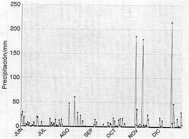 Figura 3. Registro Diario de precipitacin en la estacin    metereolgica de Yumare, ao 1966