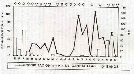 Figura 1.Promedios de teologinas de B. microplus, baos y caricias y precipitaciones. Finca A Parroquia de las Mercedes