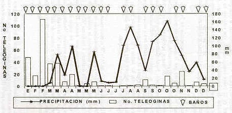 Figura 2.  Promedios de teologinas de B. microplus, baos y acaricidas y precipitaciones.  Finca B Parroquia de las Mercedes