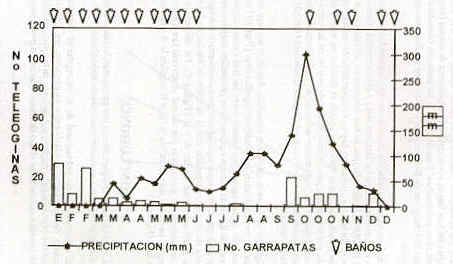 Figura 3.  Promedios de teleginas B. microplus, baos acaricidas y precipitaciones, Finca C. Parroquia Las Mercedes.