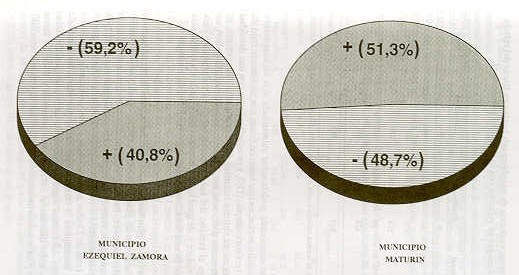 FIGURA 2. Seraprevalencia de la anaplasmosis bovina en los municipios Maturn y Ezequiel Zamora del estado Monagas.