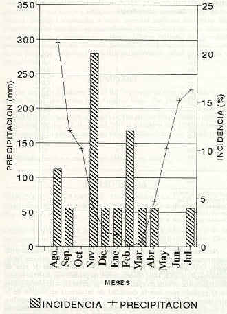 FIGURA 3. Correlacin entre la seroincidencia (IFI) de la tripanosomiasis bovina entre la precipitacin mensual.