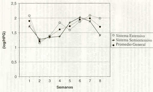 FIGURA 1. Promedios semanales de huevos por gramos de haces de estrngilos digestivos, en dos sistemas de explotacin.