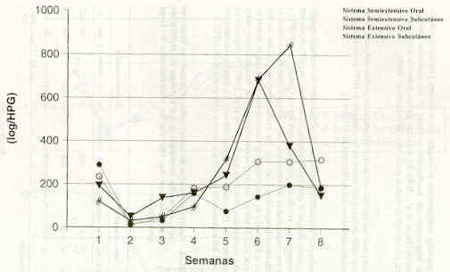 FIGURA 2. Promedios semanales de huevos por gramos de haces de estrngilos digestivos,  en ovejas sometidas a dos sistemas de explotacin y tratadas por dos vas con un antihelmntico de larga persistencia.