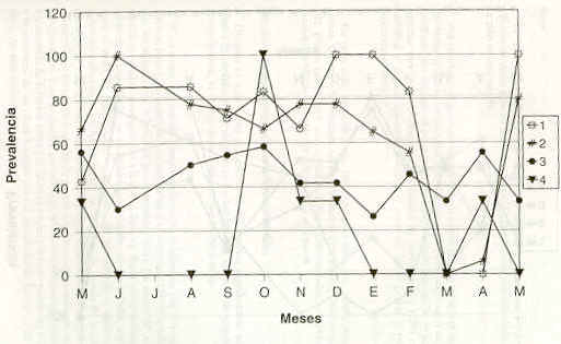 FIGURA 3. Prevalencia mensual por grupo etario de la infeccin por estrngilos. Haras 3.