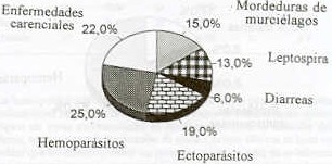Figura 1. Principales problemas sanitarios en bovinos jvenes  (0-6m ) y adultos  (< 12 m) en fincas del municipio Ezequiel Zamora.
