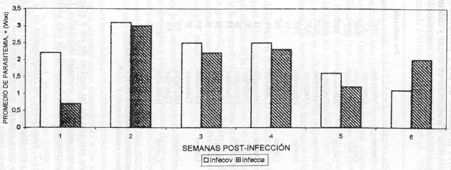 Figura 1 Parasitemia promedio de las ovejas y cabras infectadas con Trypanosoma vivax determinada por el mtodo de la microcentrifugacin (Woo).
