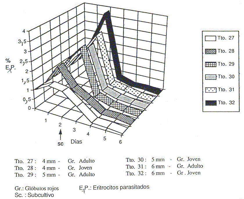 Figura 6. Crecimiento de Babesia bovis en mezcla de gases. Ensayo 3.