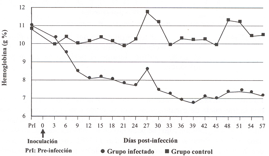 FIGURA 3. Variacin de los promedios de la hemoglobina (g%) en ovinos infectados experimentalmente con T. vivax y en el grupo control, durante el perodo de pre y postinfeccin.